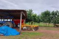 FAZENDA NO VALE DO ARAGUAIA-TO