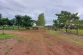 FAZENDA NO VALE DO ARAGUAIA-TO