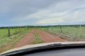 FAZENDA NO VALE DO ARAGUAIA-TO