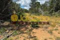 FAZENDA NO VALE ARAGUAIA NO TOCANTINS