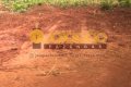 FAZENDA A VENDA NO TOCANTINS