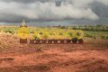 FAZENDA A VENDA NO TOCANTINS