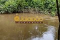 FAZENDA A VENDA NO TOCANTINS