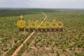 FAZENDA NO TOCANTINS