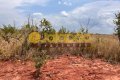 FAZENDA NO TOCANTINS