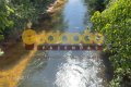 FAZENDA NO TOCANTINS