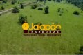 FAZENDA DE GRANDE PORTE COM DUPLA APTIDÃO NO TOCANTINS