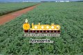 Fazenda no Tocantins
