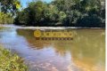 OPORTUNIDADE DE NEGÓCIO - FAZENDA DUPLA APTIDÃO NO TOCANTINS