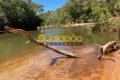 OPORTUNIDADE DE NEGÓCIO - FAZENDA DUPLA APTIDÃO NO TOCANTINS