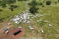 FAZENDA DUPLA APTIDÃO, COM ÓTIMA INFRAESTRUTURA E ACESSO ESTRATÉGICO NO TOCANTINS