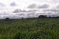 FAZENDA NO TOCANTINS