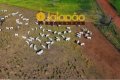 FAZENDA PREMIUM NO TOCANTINS COM ALTO POTENCIAL DE PLANTIO E PECUÁRIA