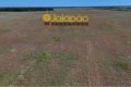 FAZENDA COM 2500 HECTARES PARA PLANTIO, JÁ PRODUZINDO EM 1300 HECTARES!