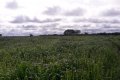 FAZENDA NO TOCANTINS