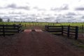 FAZENDA NO TOCANTINS