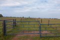 FAZENDA NO TOCANTINS
