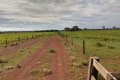 FAZENDA NO TOCANTINS
