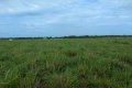 FAZENDA NO TOCANTINS