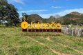 FAZENDA NO TOCANTINS