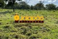 FAZENDA NO TOCANTINS