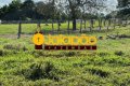 FAZENDA NO TOCANTINS