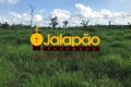 FAZENDA NO TOCANTINS