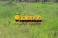 FAZENDA NO TOCANTINS