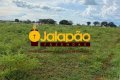 Fazenda no Tocantins