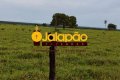 FAZENDA NO TOCANTINS