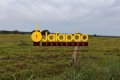 FAZENDA NO TOCANTINS