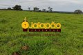 FAZENDA NO TOCANTINS