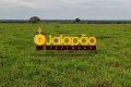 FAZENDA NO TOCANTINS