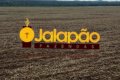 FAZENDA NO TOCANTINS