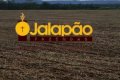 FAZENDA NO TOCANTINS
