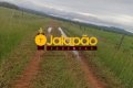 FAZENDA NO TOCANTINS