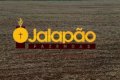 FAZENDA NO TOCANTINS