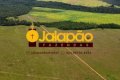 FAZENDA NO TOCANTINS