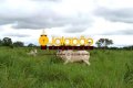Fazenda no Tocantins