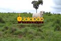 Fazenda no Tocantins