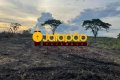 Fazenda no Tocantins 