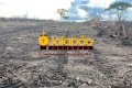Fazenda no Tocantins 