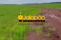 FAZENDA NO TOCANTINS