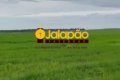 FAZENDA NO TOCANTINS