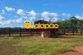 Fazenda no Tocantins