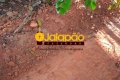 Fazenda no Tocantins