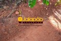 Fazenda no Tocantins