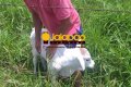 Fazenda no Tocantins