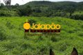 Fazenda no Tocantins