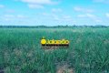 Fazenda no Tocantins